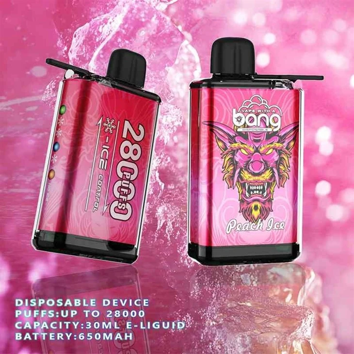 Bang 28000 PUFFS ICE CONTROL 5