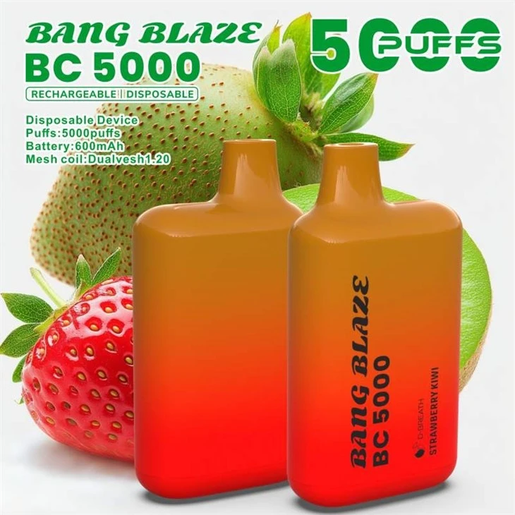 BANG BLAZE BC 5000 factory BANG BLAZE BC 5000 factory