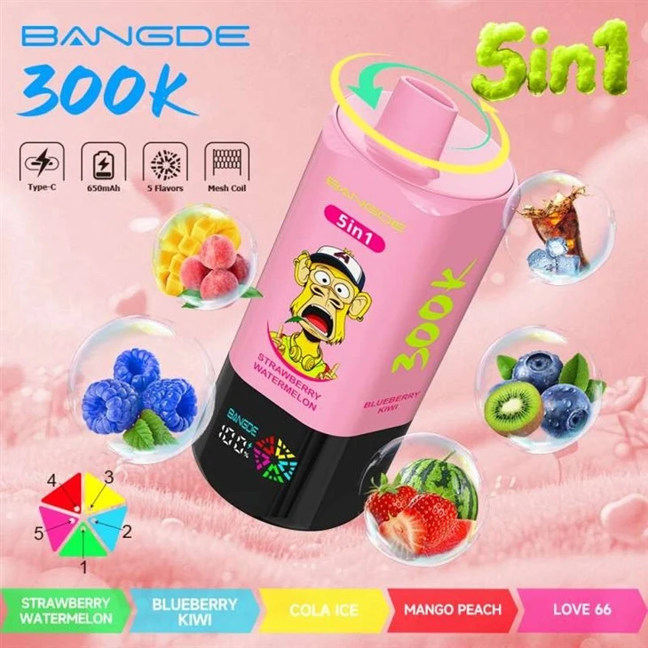 BANG DE 300K 5in1 high quality