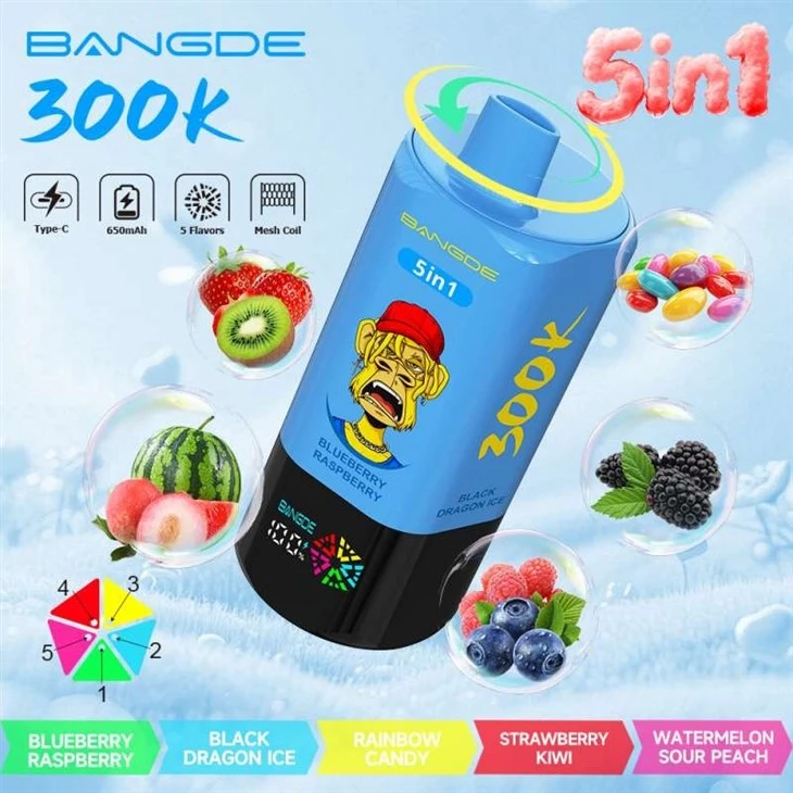 BANG DE 300K factory