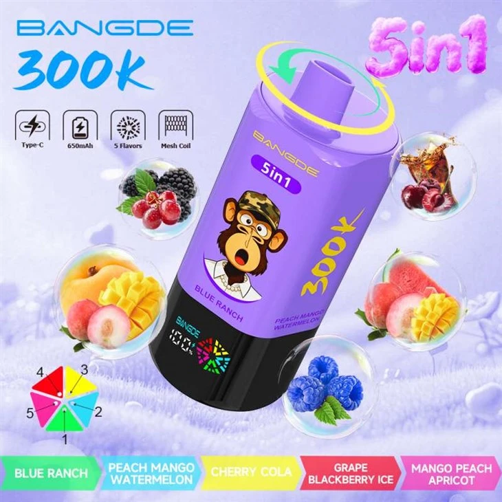 BANG DE 300K