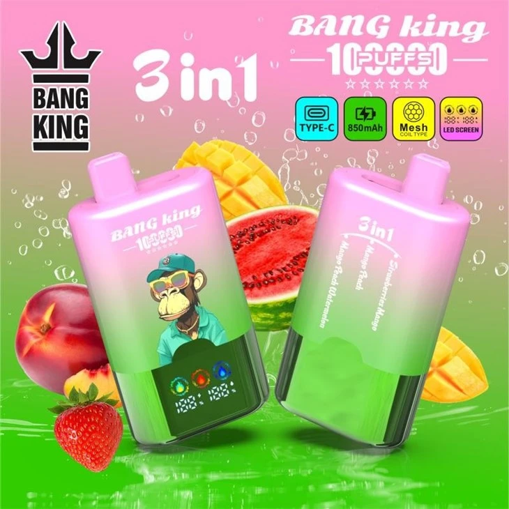 BANG KING 100000 PUFF factory