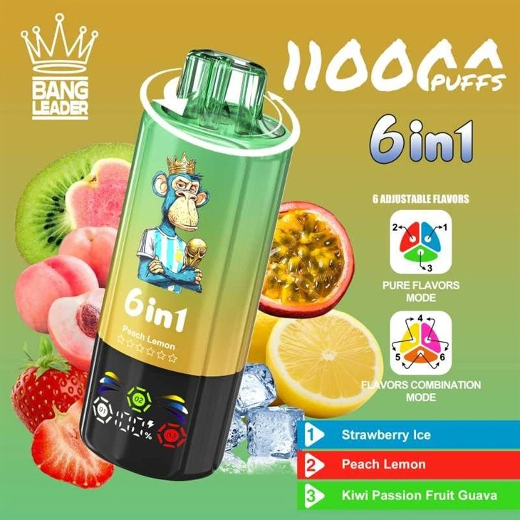 Bang Leader 110K Puffs price