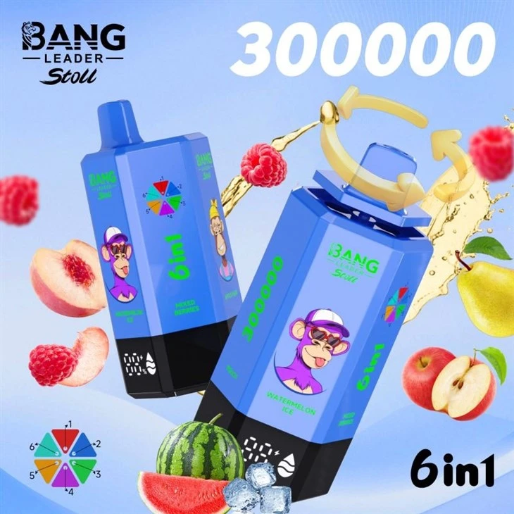 bang leader 300000 13 bang leader 300000 13