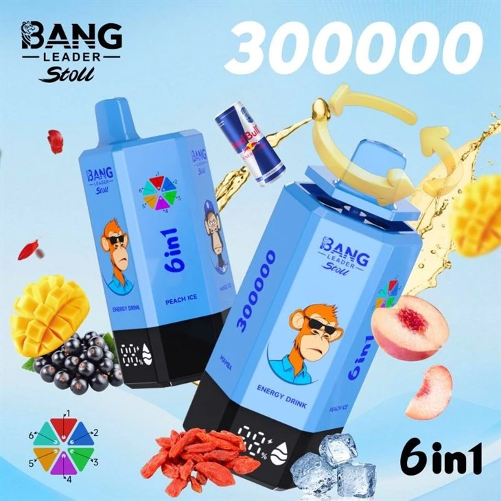 bang leader 300000 16 bang leader 300000 16