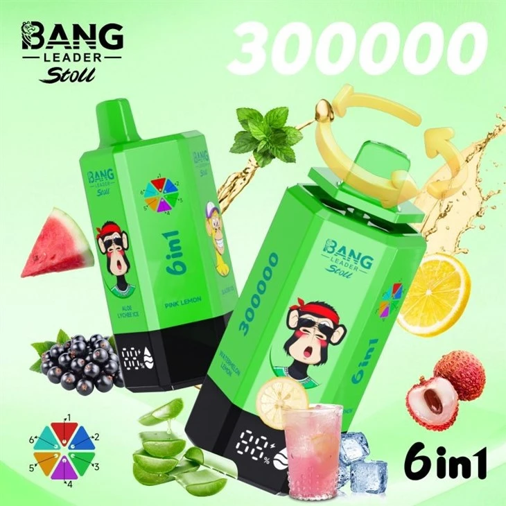 bang leader 300000 11 bang leader 300000 11