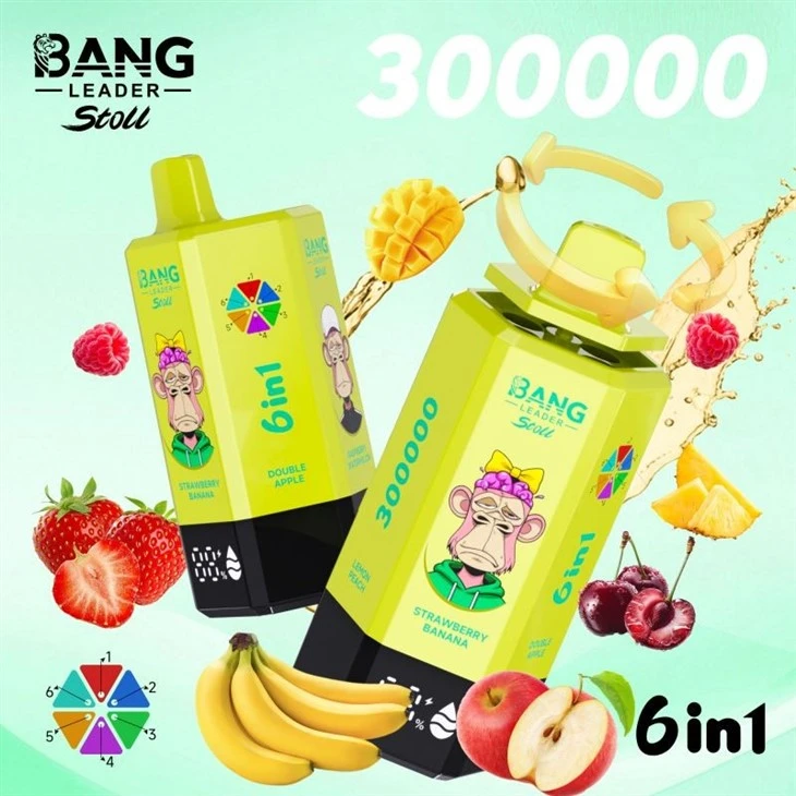 Bang Leader 300000 suppliers Bang Leader 300000 suppliers