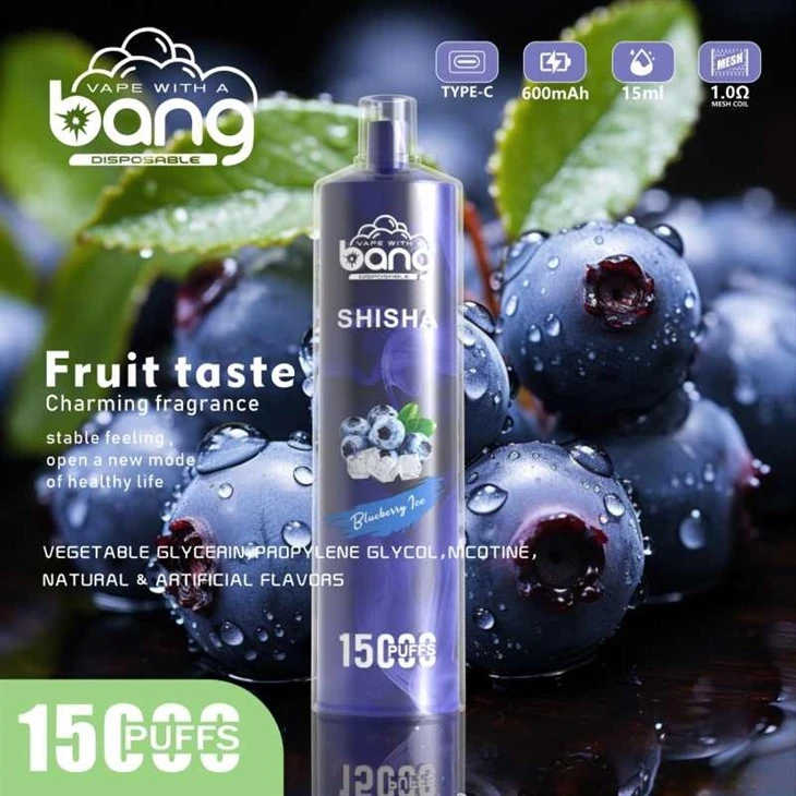 Bang SHISHA 15000 Puff Vape