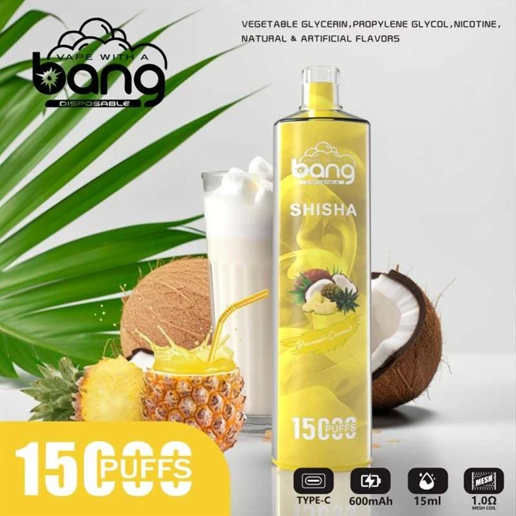 bang SHISHA 15000puffs bang SHISHA 15000puffs