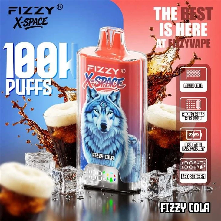 Fizzy X Space 100K price