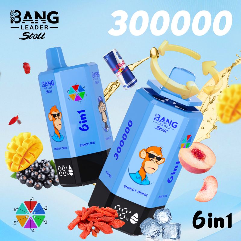 bang leader 300000 16