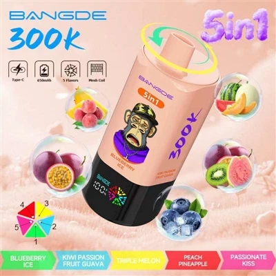 BANG DE 5IN1 300K: Yon Aparèy, Senk Gou, 300,000 Ultra-Viv Batri