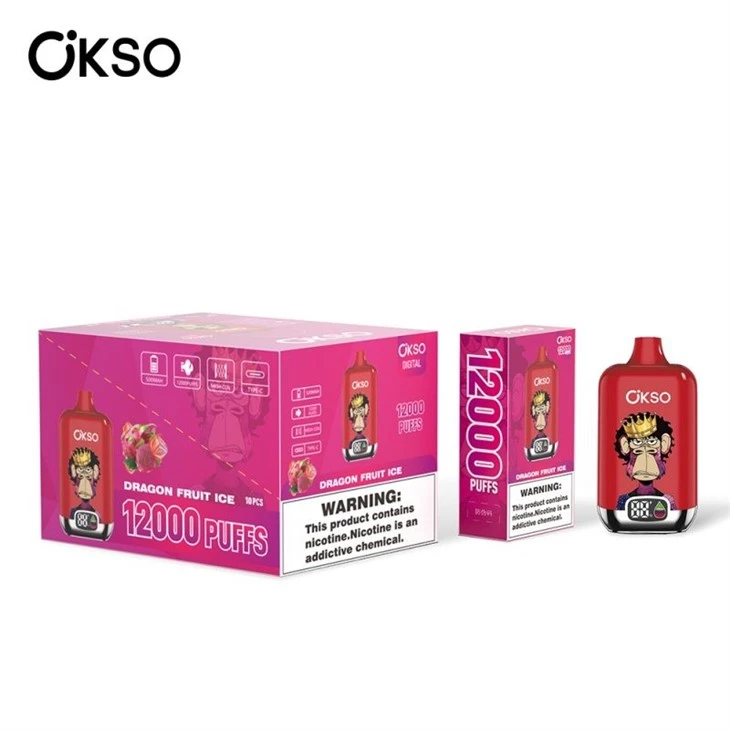 OKSO Digital Box 12000 price