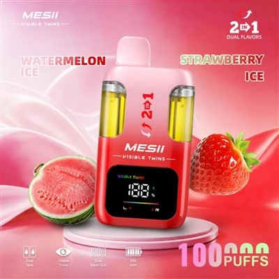 MESII VIZIBLE TWINS 100K
