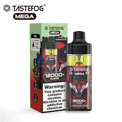 TASTEFOG MEGA 12000 soufle