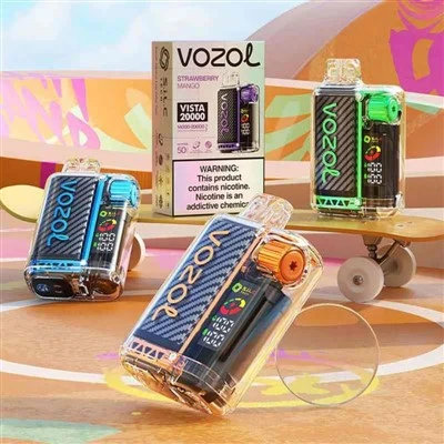 VOZOL VISTA 20000 Puffs