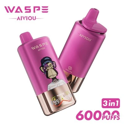 WASPE AIVIOU 60000 3 nan 1 gou