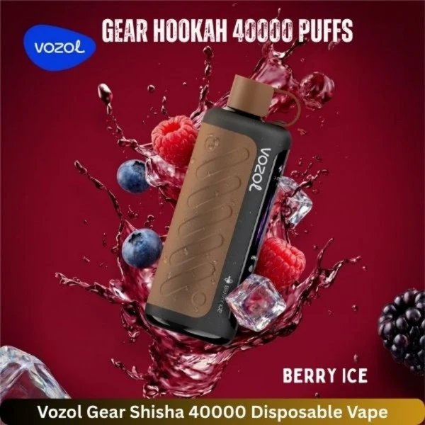 VOZOL Gear Hookah 40K Puff best